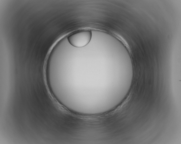 X0000112751138200908201008