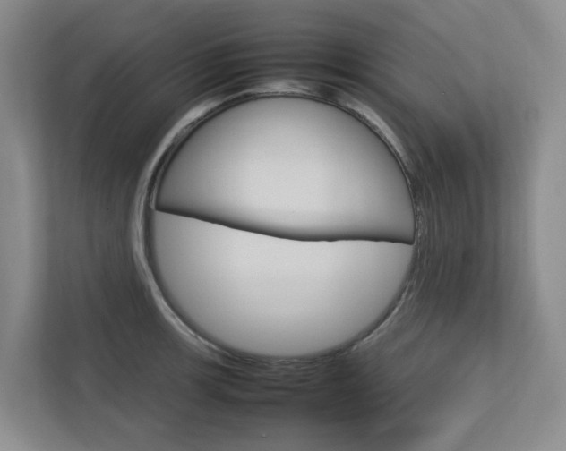 X0000112751139200908201008