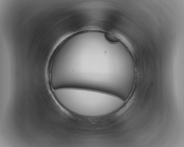 X0000112751141200908201008