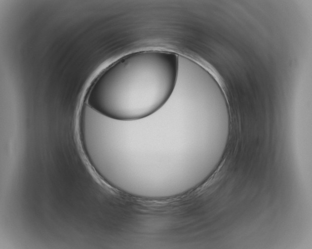 X0000112751144200908201008