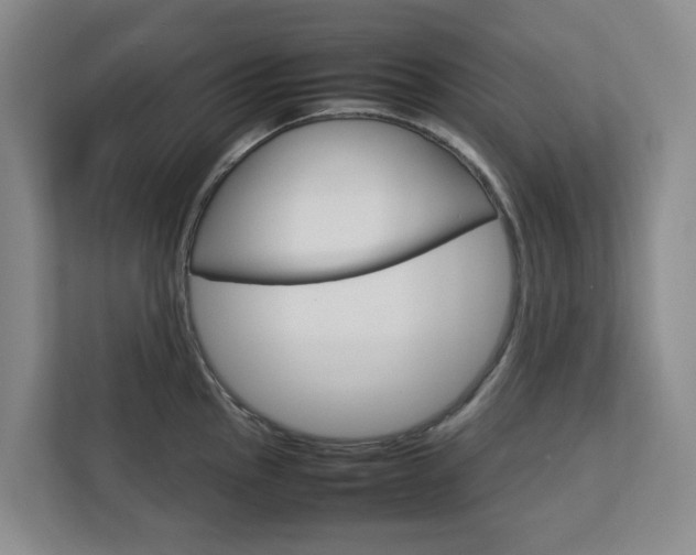 X0000112751145200908201008