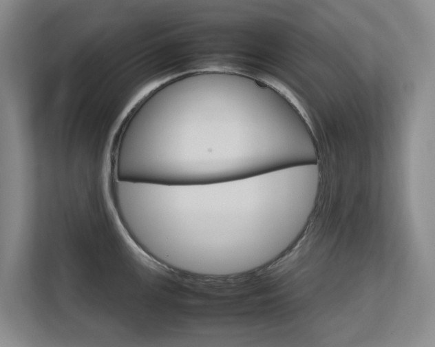 X0000112751147200908201008