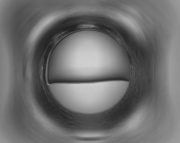 X0000112751151200908201008