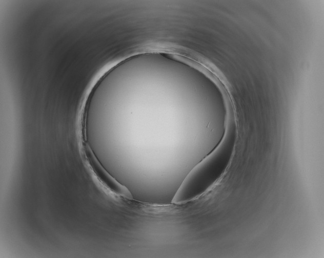 X0000112751152200908201008