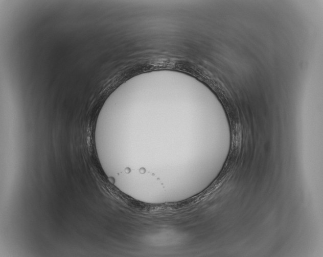 X0000112751154200908201007