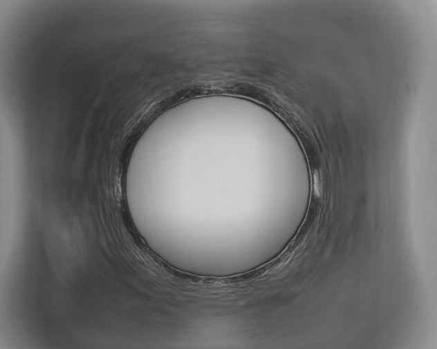 X0000112751155200908201007