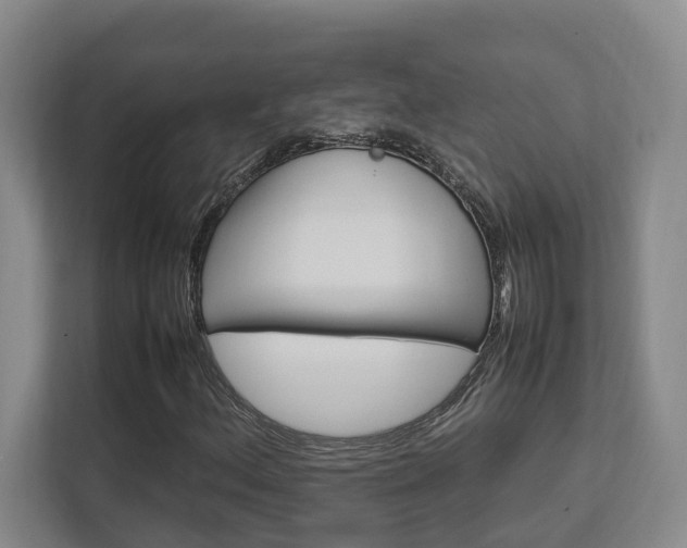 X0000112751156200908201007