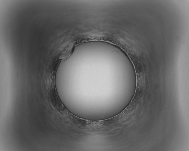 X0000112751157200908201007