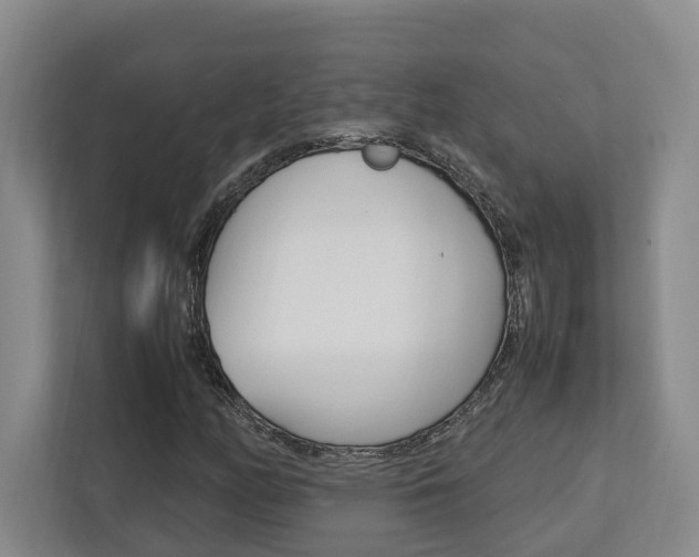X0000112751158200908201007