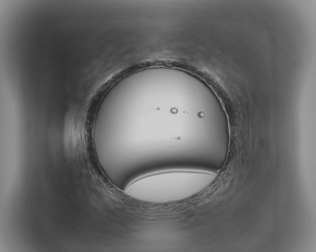 X0000112751159200908201007