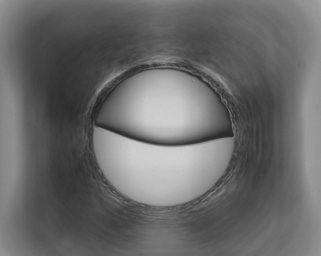 X0000112751160200908201007