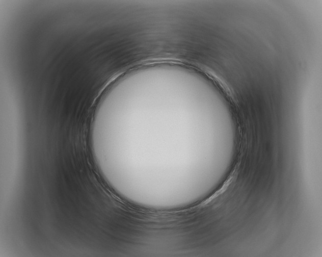 X0000112751162200908201007