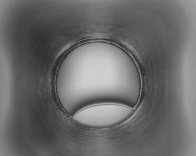 X0000112751163200908201007