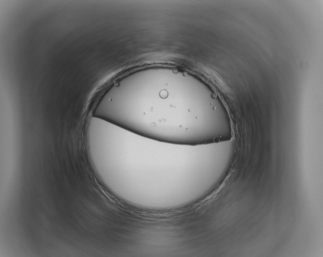 X0000112751164200908201007
