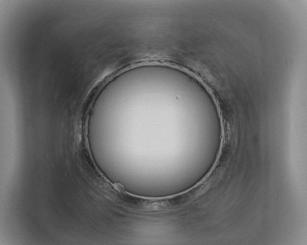 X0000112751165200908201007