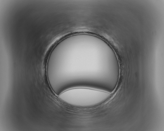 X0000112751167200908201007