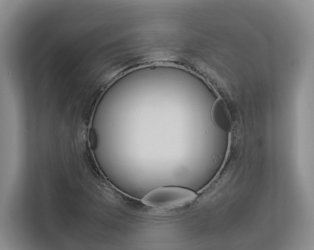 X0000112751169200908201007