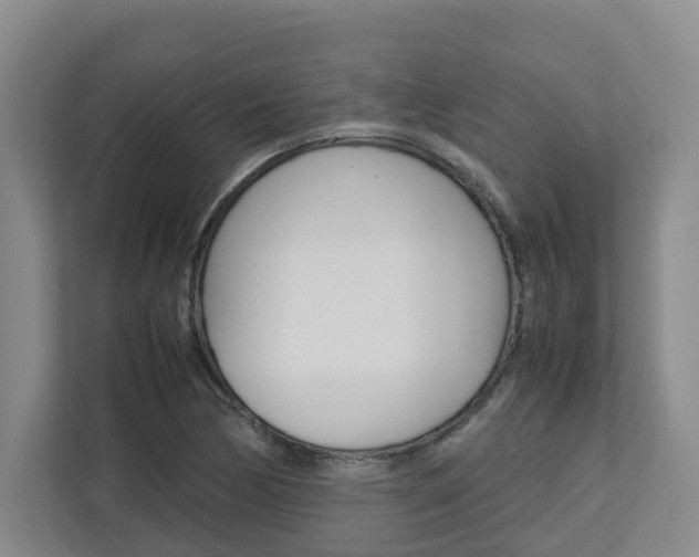 X0000112751170200908201007
