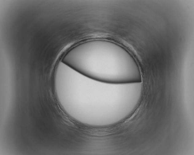 X0000112751171200908201007