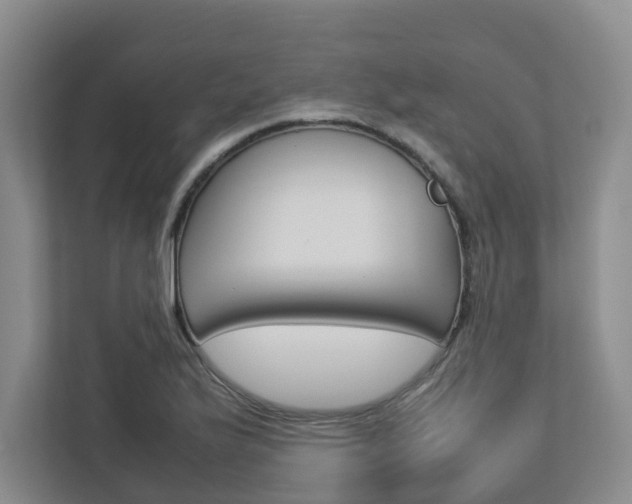 X0000112751175200908201007