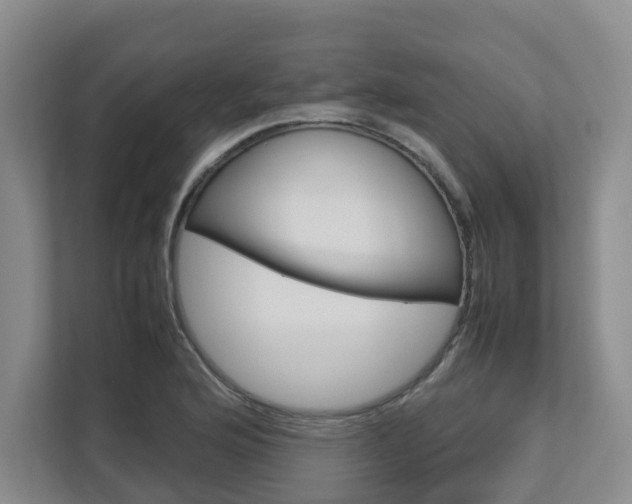 X0000112751176200908201007
