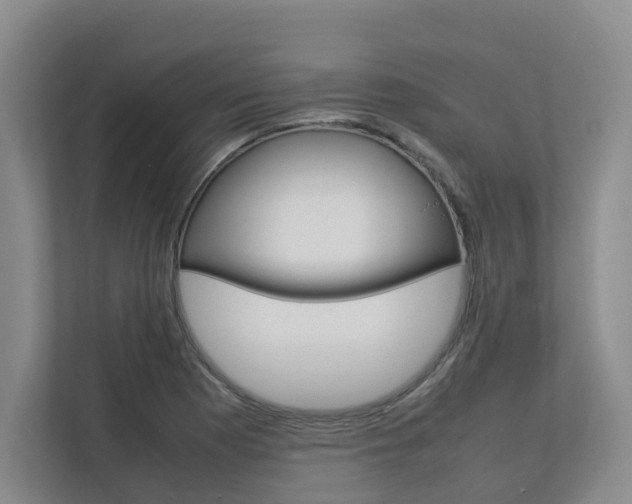 X0000112751177200908201007