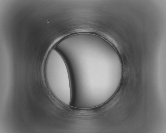 X0000112751179200908201007