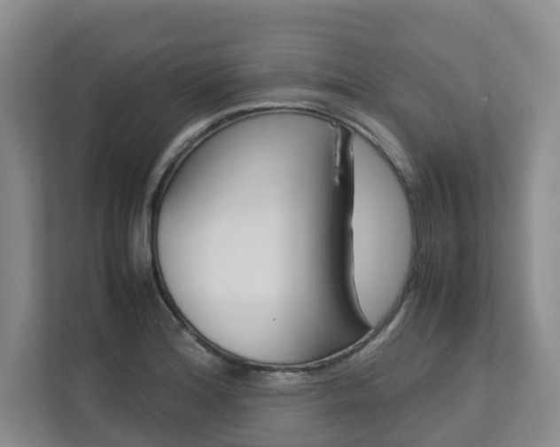 X0000112751180200908201007