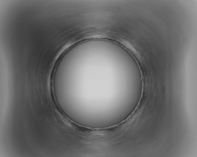 X0000112751181200908201007