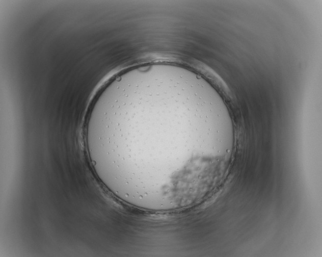 X0000112751182200908201007