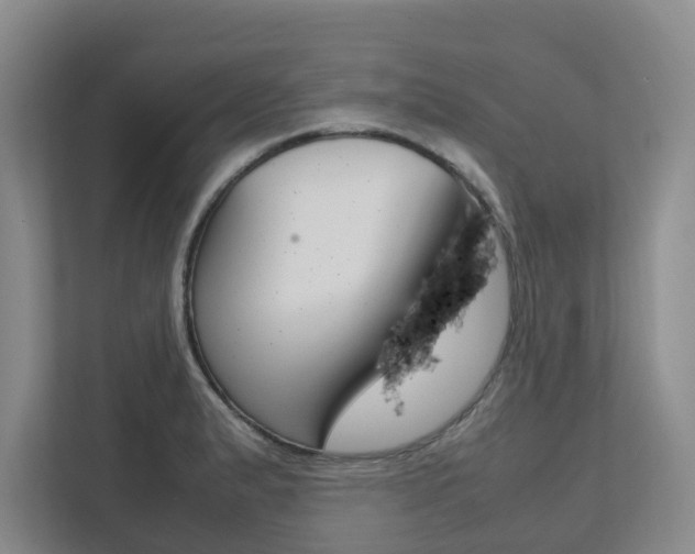 X0000112751183200908201007