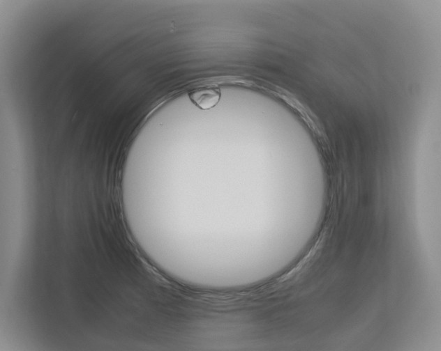 X0000112751185200908201007