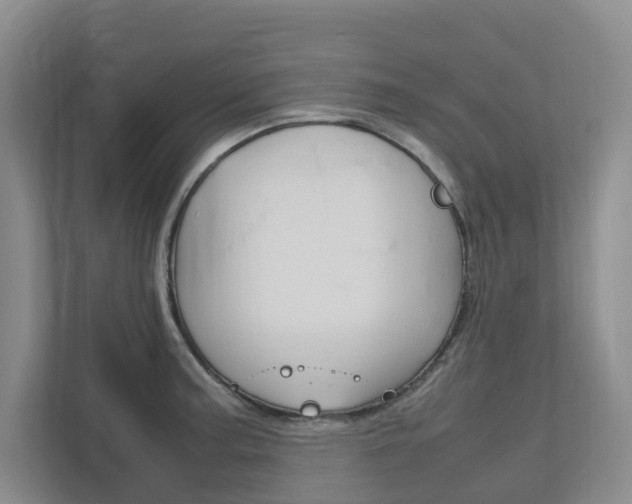 X0000112751187200908201007