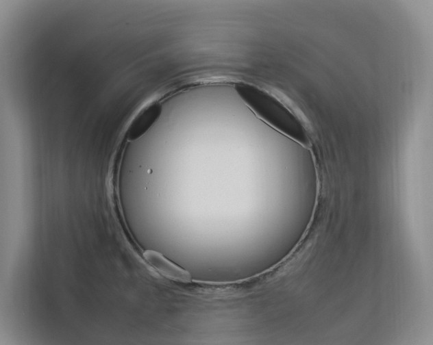X0000112751189200908201007