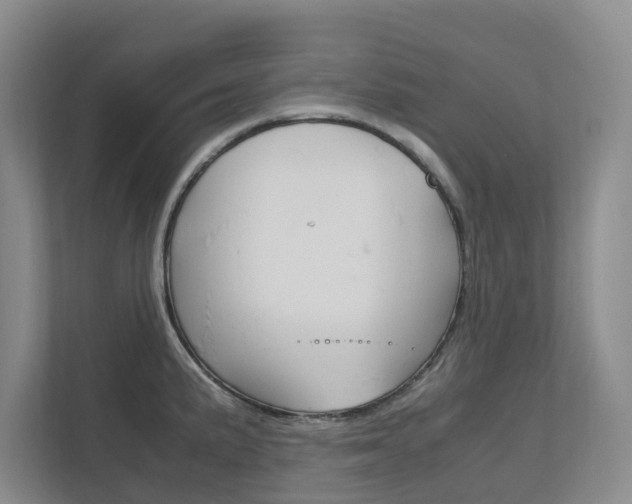 X0000112751191200908201007