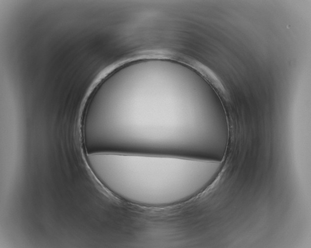 X0000112751192200908201007
