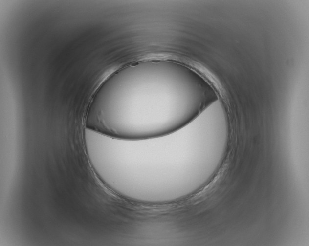 X0000112751193200908201007
