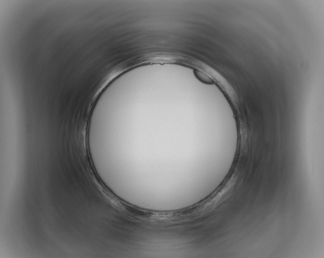 X0000112751194200908201007