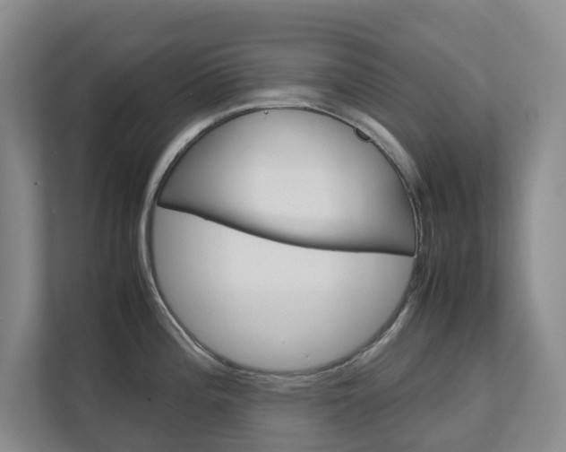 X0000112751196200908201007