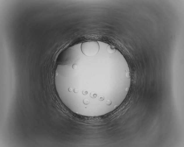 X0000112751201200908201006