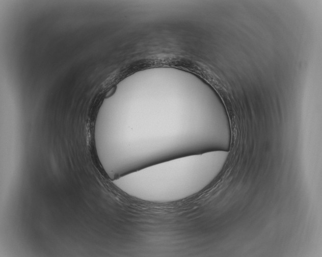 X0000112751204200908201006