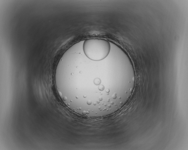 X0000112751205200908201006