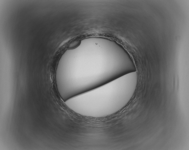 X0000112751206200908201006