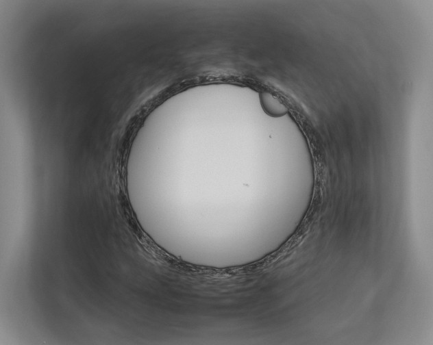 X0000112751207200908201006