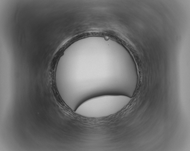 X0000112751208200908201006