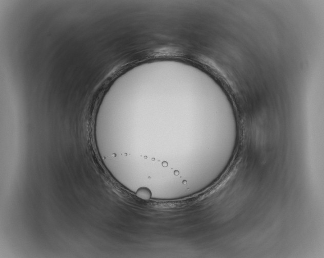 X0000112751211200908201006