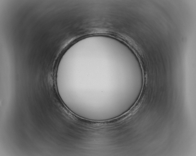X0000112751212200908201006