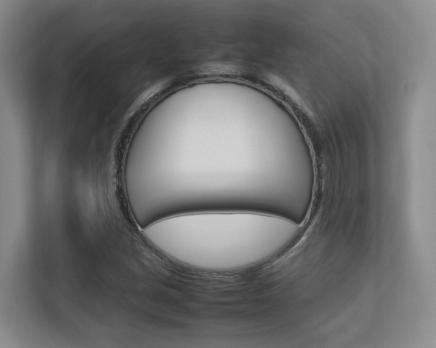 X0000112751213200908201006