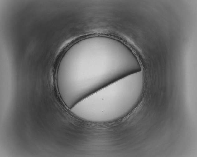 X0000112751214200908201006