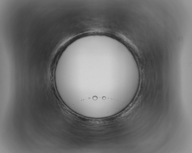 X0000112751215200908201006